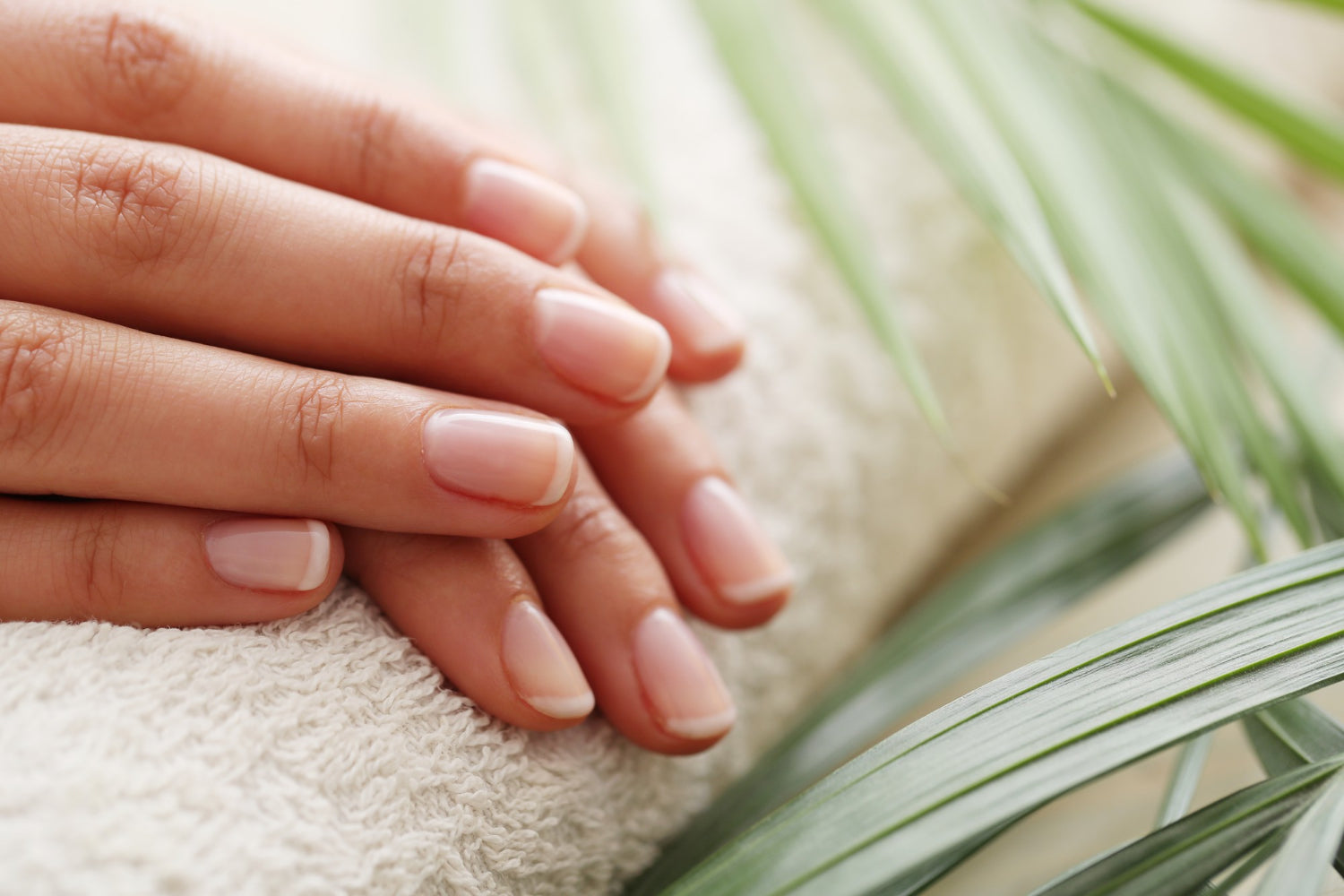 From Ridges to Radiance: Transform Your Nails With Lily & Fox Nail Wraps
