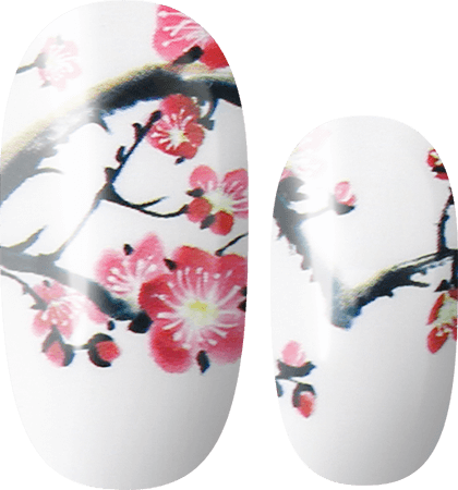 Cherry Blossom Girl Nail Wraps Online Shop - Lily and Fox - Lily