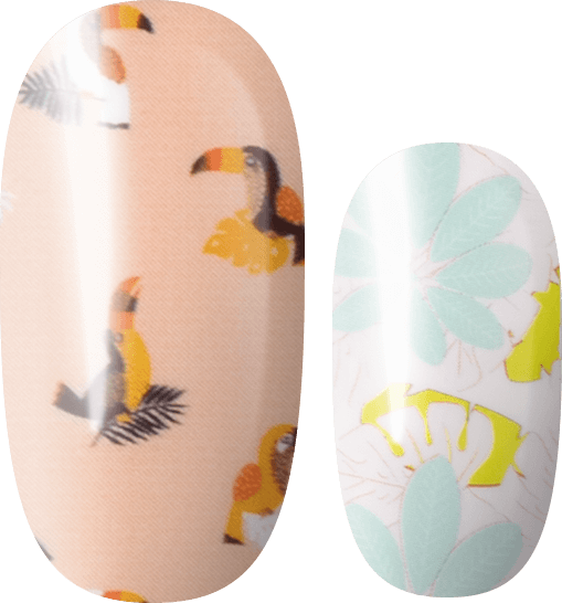 Tropical Paradise Lily and Fox USA